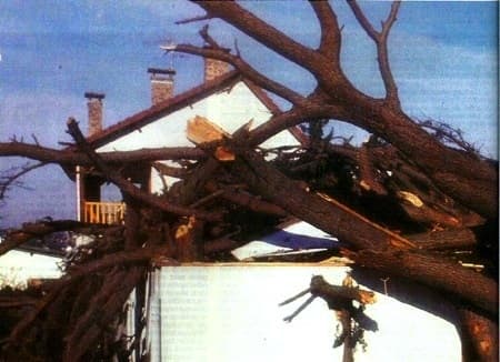 Douceur et tempêtes exceptionnelles de février 1990